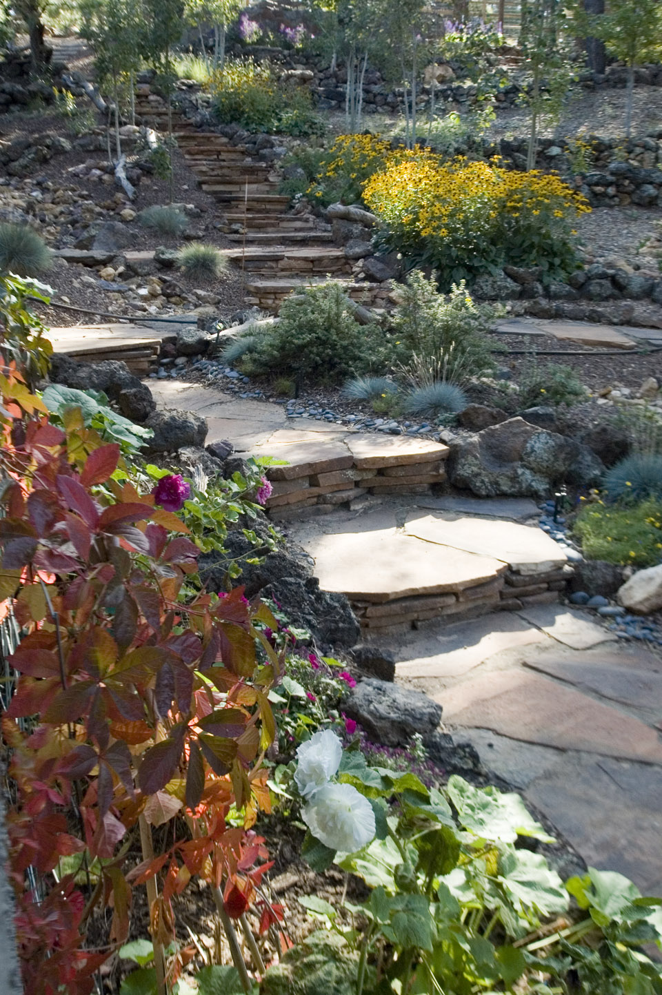 Landscape Design | Kaibab Landscaping Flagstaff Landscaping Company ...