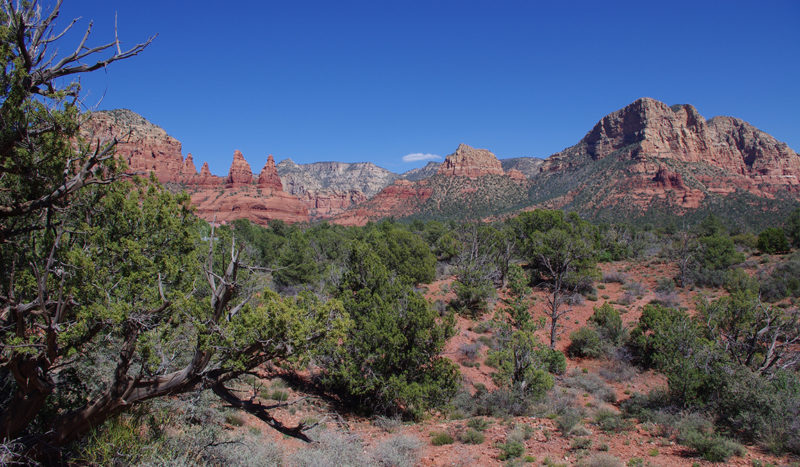 Sedona Landscaping